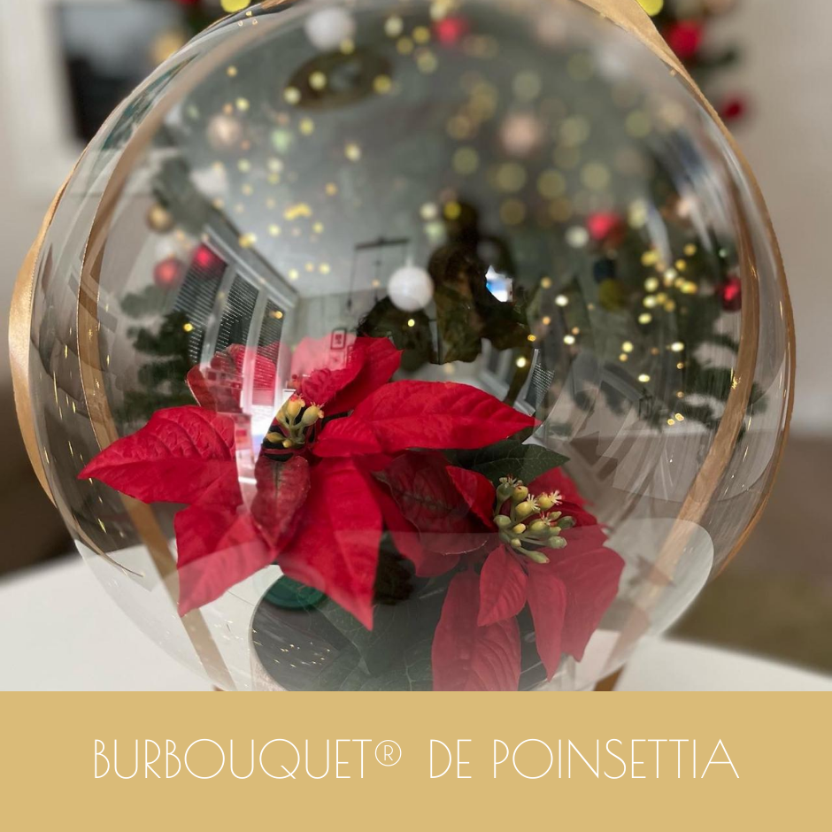Burbouquet® de Poinsettia